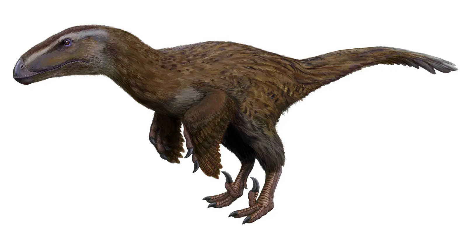 How Far Back Are We Really Talking? Setting the Dinosaur Clock (By FunkMonk, CC BY-SA 3.0)