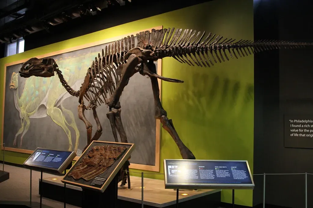 1. Hadrosaurus foulkii: The Duck-Bill That Started It All (New Jersey, 1858) (Jim, the Photographer, Flickr, CC BY 2.0)