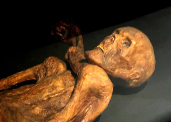 5. Ötzi the Iceman: A Time Capsule in the Alps (By 120, CC BY-SA 3.0)
