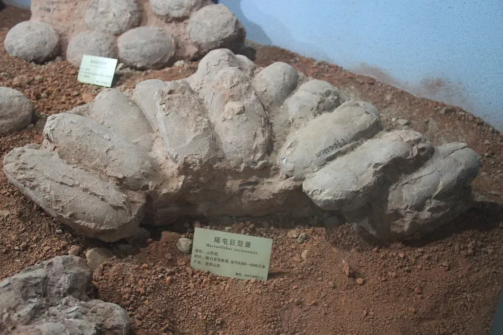 3. Fossilized Eggs and Nesting Sites: Parental Secrets Set in Stone (Image Credits: Flickr)