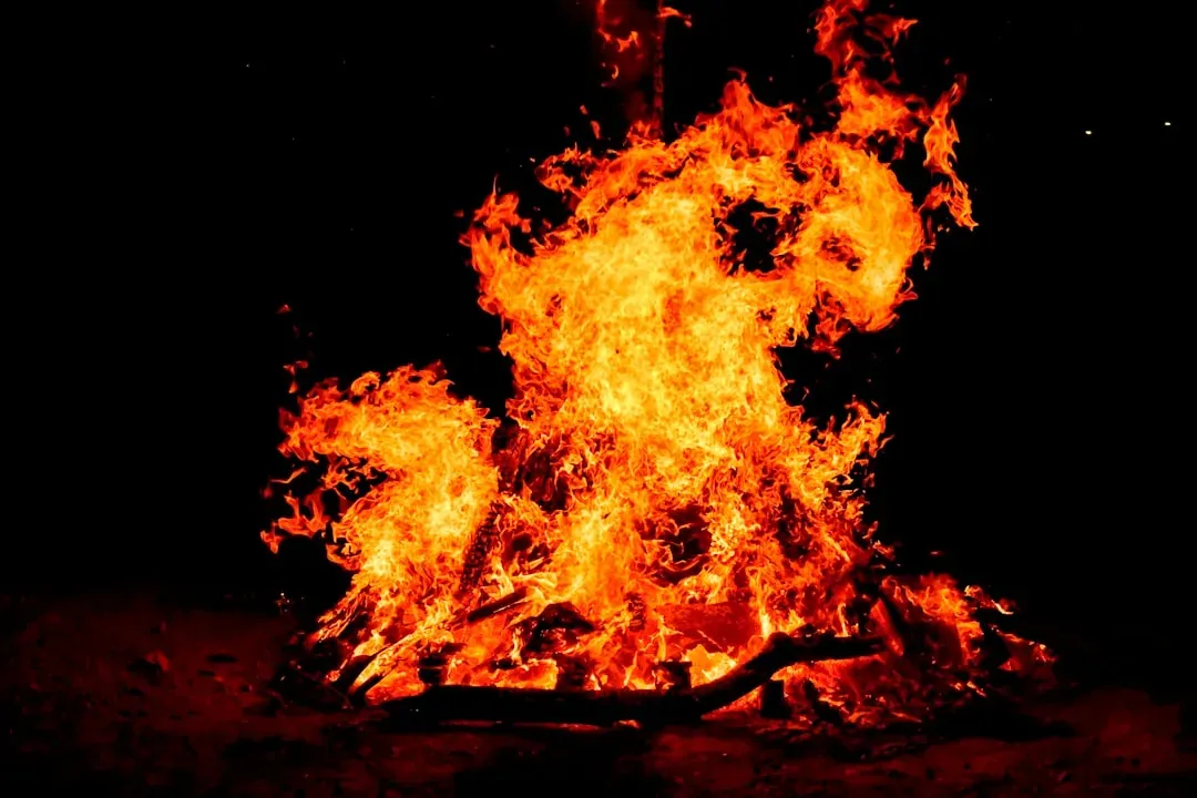 Conclusion: Fire as the First Technology That Rewrote Our Biology (Image Credits: Unsplash)