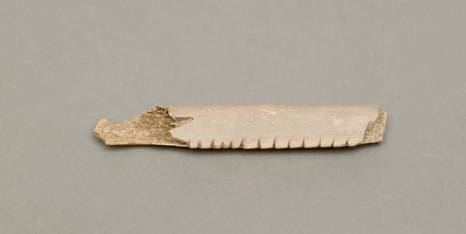 #12 - Proto-Mathematical Notching and Timekeeping (This file was donated to Wikimedia Commons as part of a project by the Metropolitan Museum of Art. See the Image and Data Resources Open Access Policy, CC0)