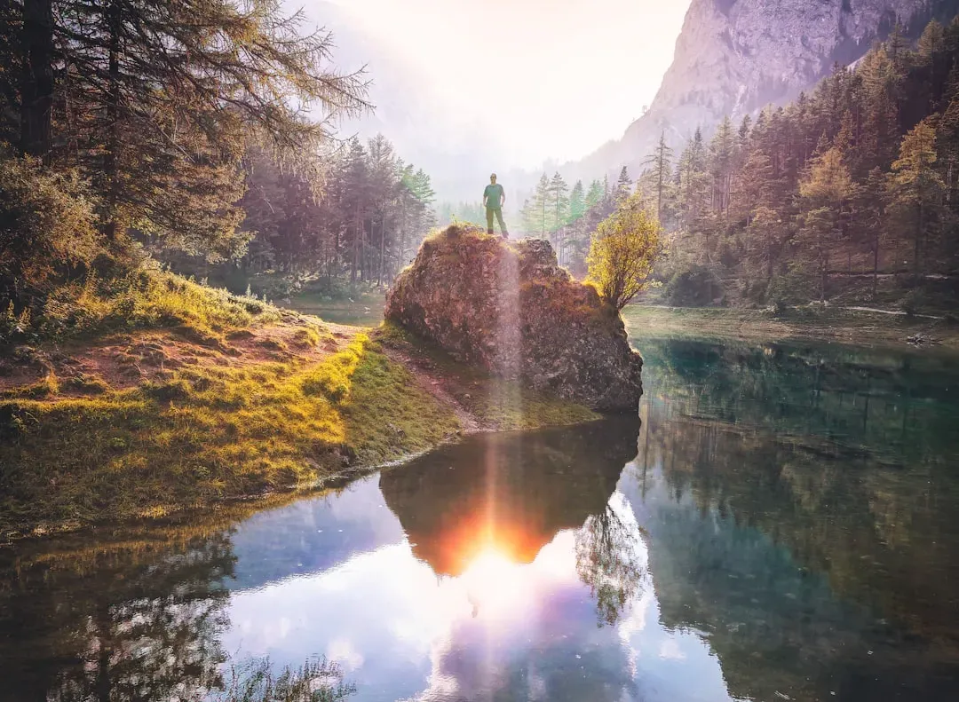 Attention Restoration Theory: Nature As A Neural Reset Button (Image Credits: Unsplash)