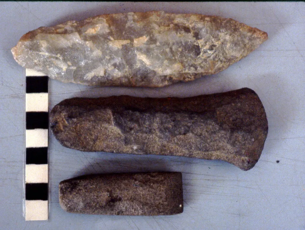 1. The Prehistoric Tools of Cooper's Ferry, Idaho: Rewriting the Arrival of Humans (gbaku, Flickr, CC BY-SA 2.0)