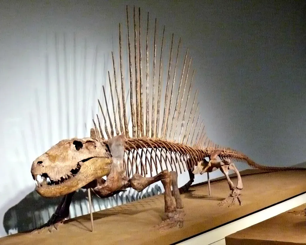 The Great Dying: The Extinction That Ended It All and Set the Stage for Dinosaurs (edenpictures, Flickr, CC BY 2.0)