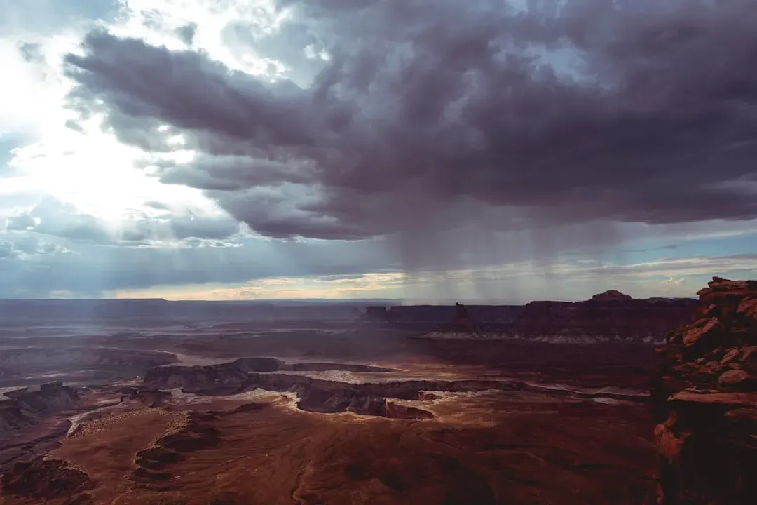 Life’s brutal playground: surviving a world of endless storms (Image Credits: Unsplash)