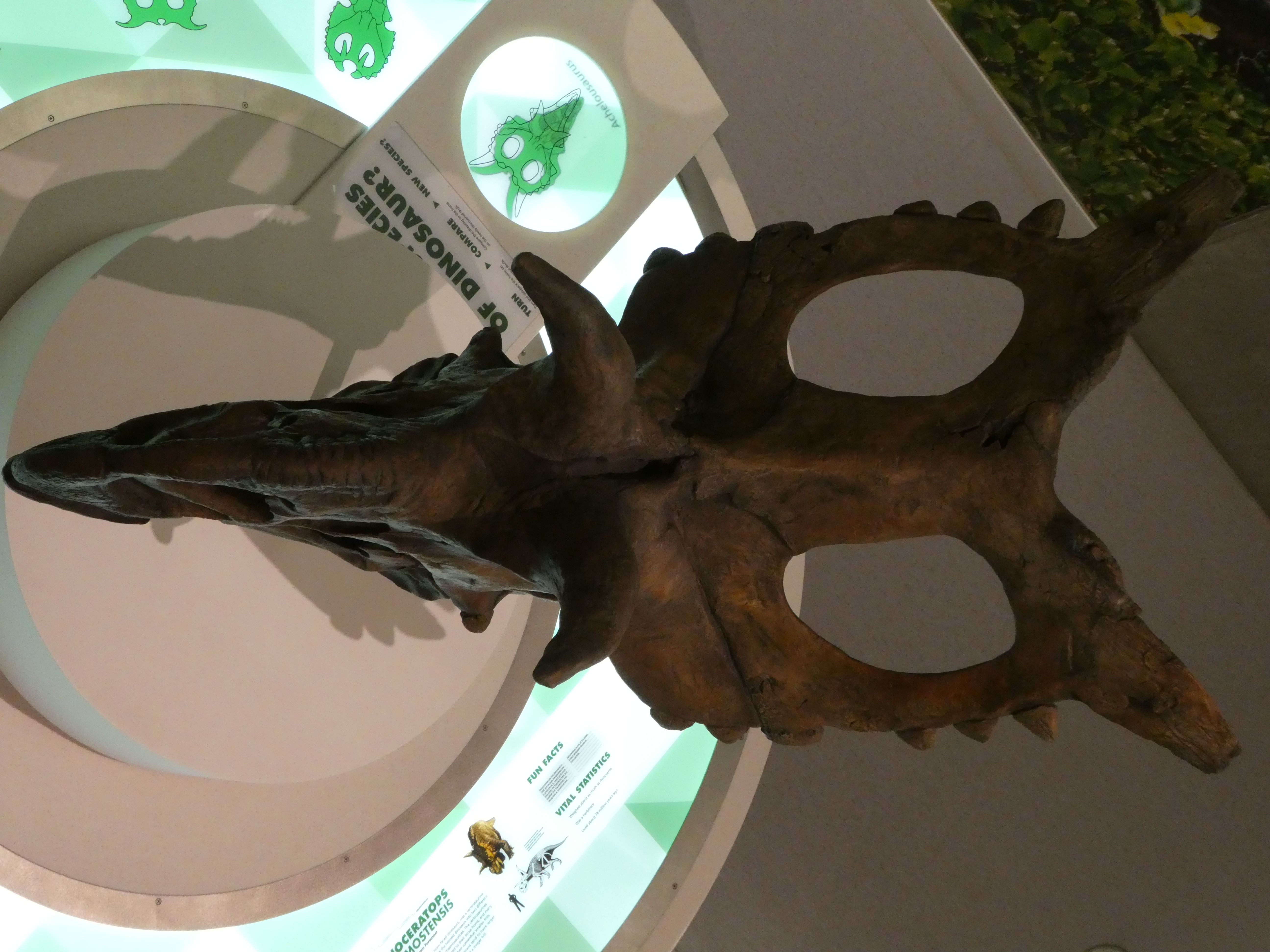 Conclusion (Image Credits: Wikimedia)