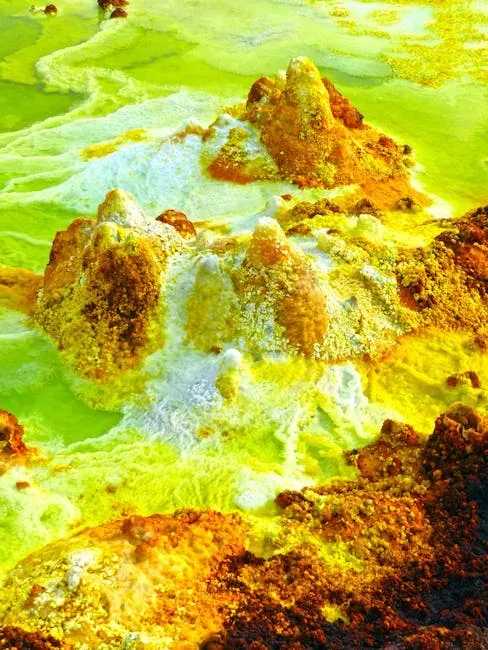 Ocean Acidification: The Hidden Killer Beneath the Waves (Image Credits: Pexels)