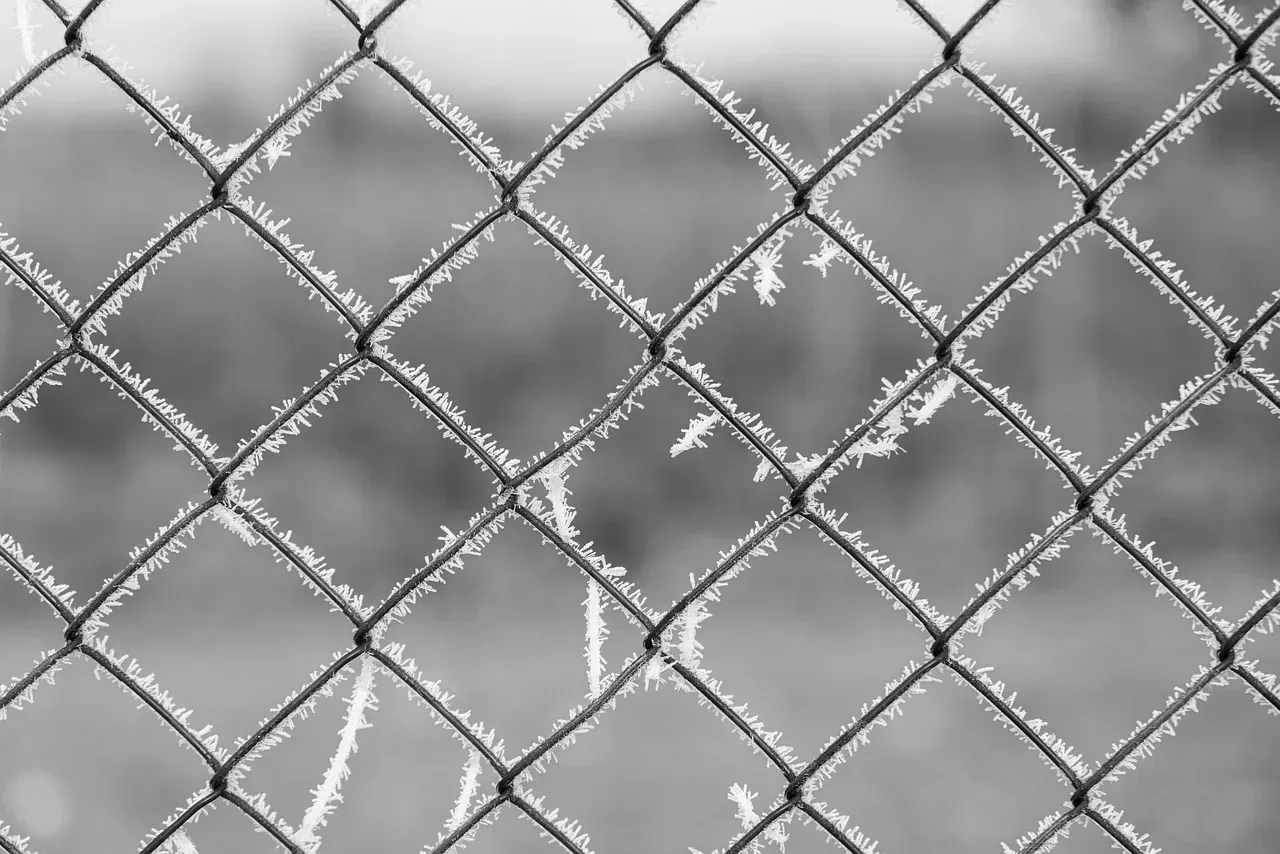 Conclusion: Frost Is a Map of Invisible Nighttime Physics (Image Credits: Pixabay)