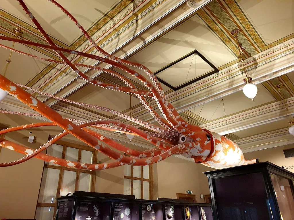 #12 - Nobody Fully Agrees on Why Deep-Sea Animals Grow So Enormous (Image Credits: Flickr)