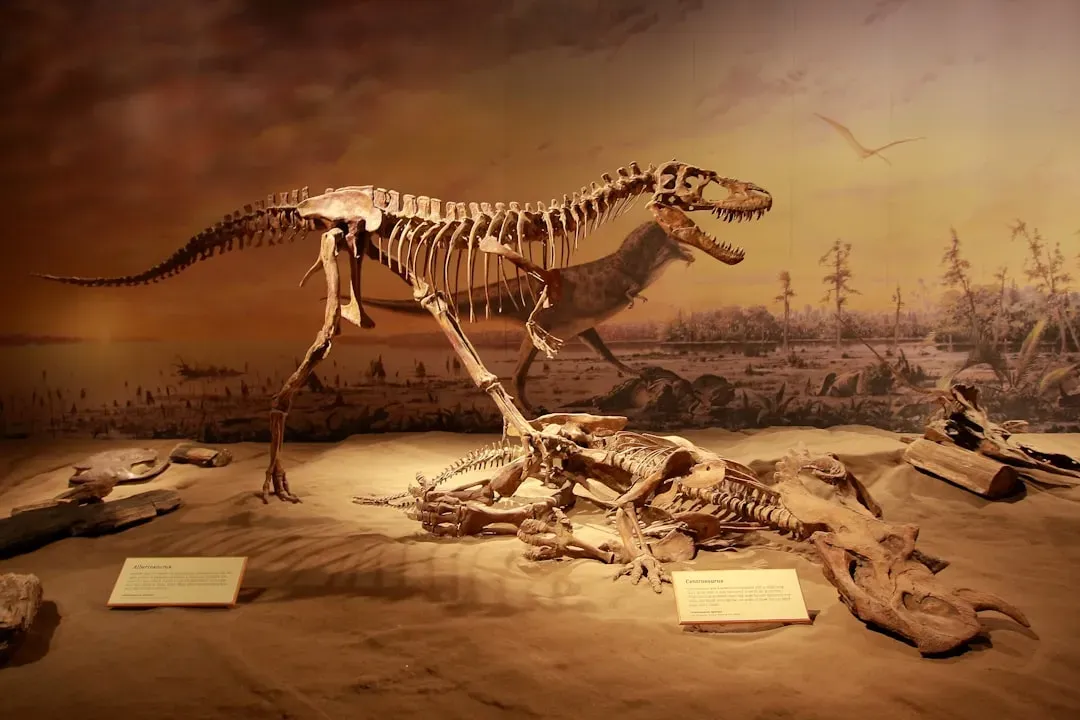 Conclusion: The dinosaur age was stranger, longer, and closer than we like to admit (Image Credits: Unsplash)