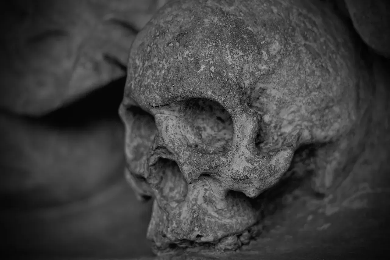 #15 - The California Bones That Are 100,000 Years Too Old (Image Credits: Pixabay)