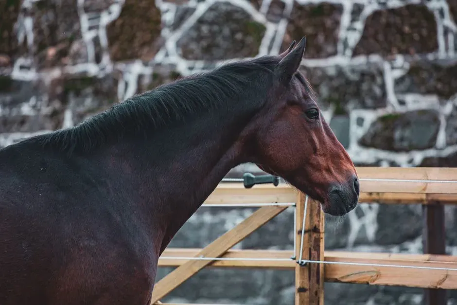#7: The "Straight Ladder" Horse Evolution Wall Got Torn Down (Image Credits: Pexels)