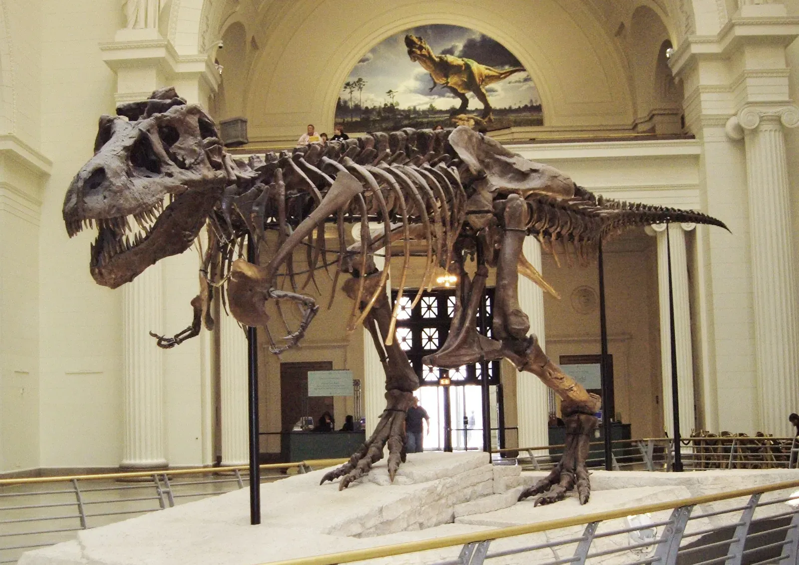 4. Sue the T. rex: The Giant That Rewrote Dinosaur Biology (Sue T-Rex at Chicago Field MuseumUploaded by FunkMonk, CC BY-SA 2.0)