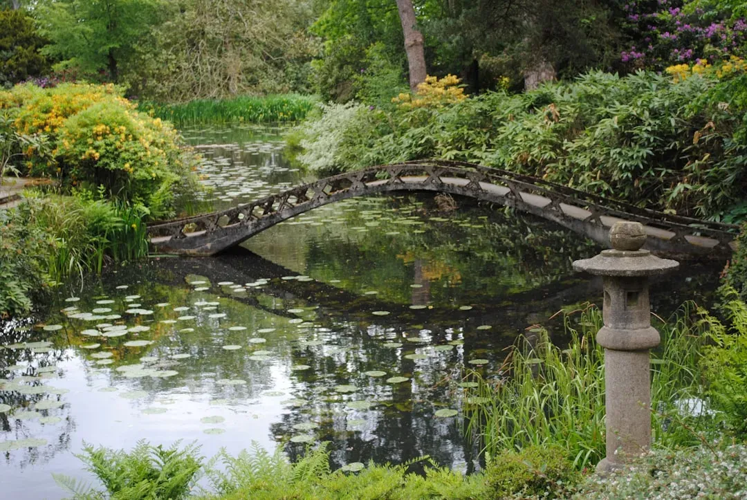 Pisces: The Dreamy, Water-Kissed Sanctuary Garden (Image Credits: Unsplash)