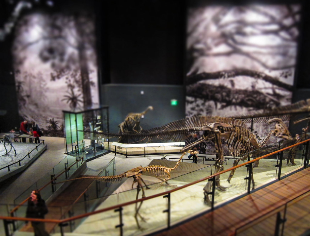Utah Museum of Natural History, Salt Lake City: Western American Treasures (Image Credits: Flickr)