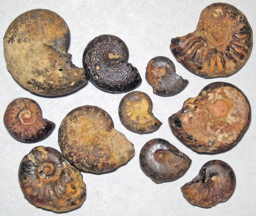 Conclusion: Lessons Written in Stone (Image Credits: Flickr)