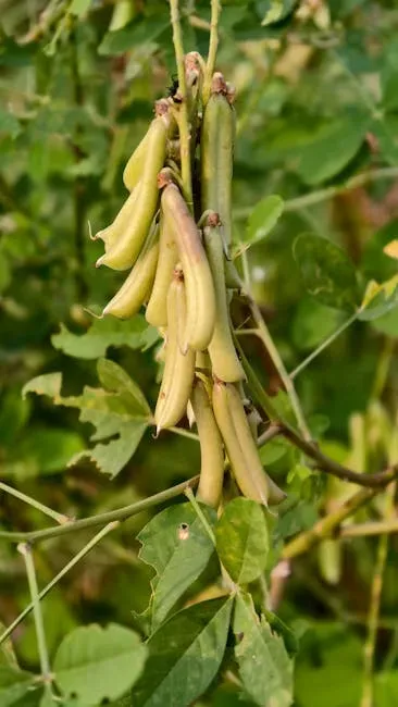7. Ancient Pulses and Wild Legumes Lost in the Shadow of Beans (Image Credits: Pexels)
