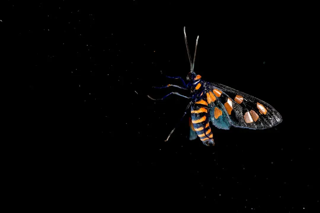 Conclusion: The Planet Is Still Full of Surprises (Image Credits: Unsplash)