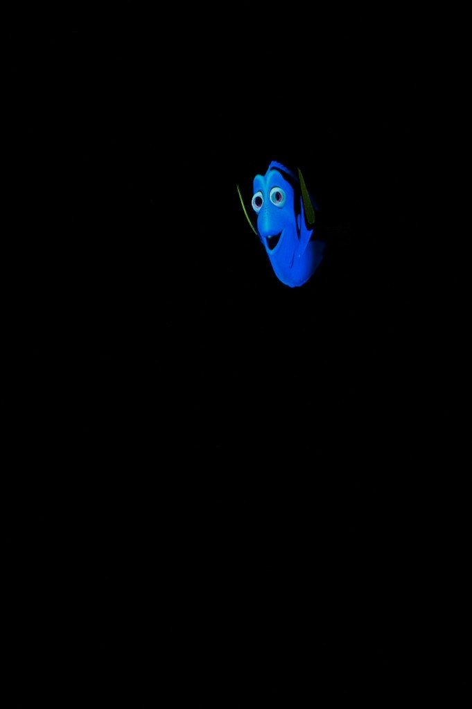 Pisces: Dory from Finding Nemo (Image Credits: Flickr)