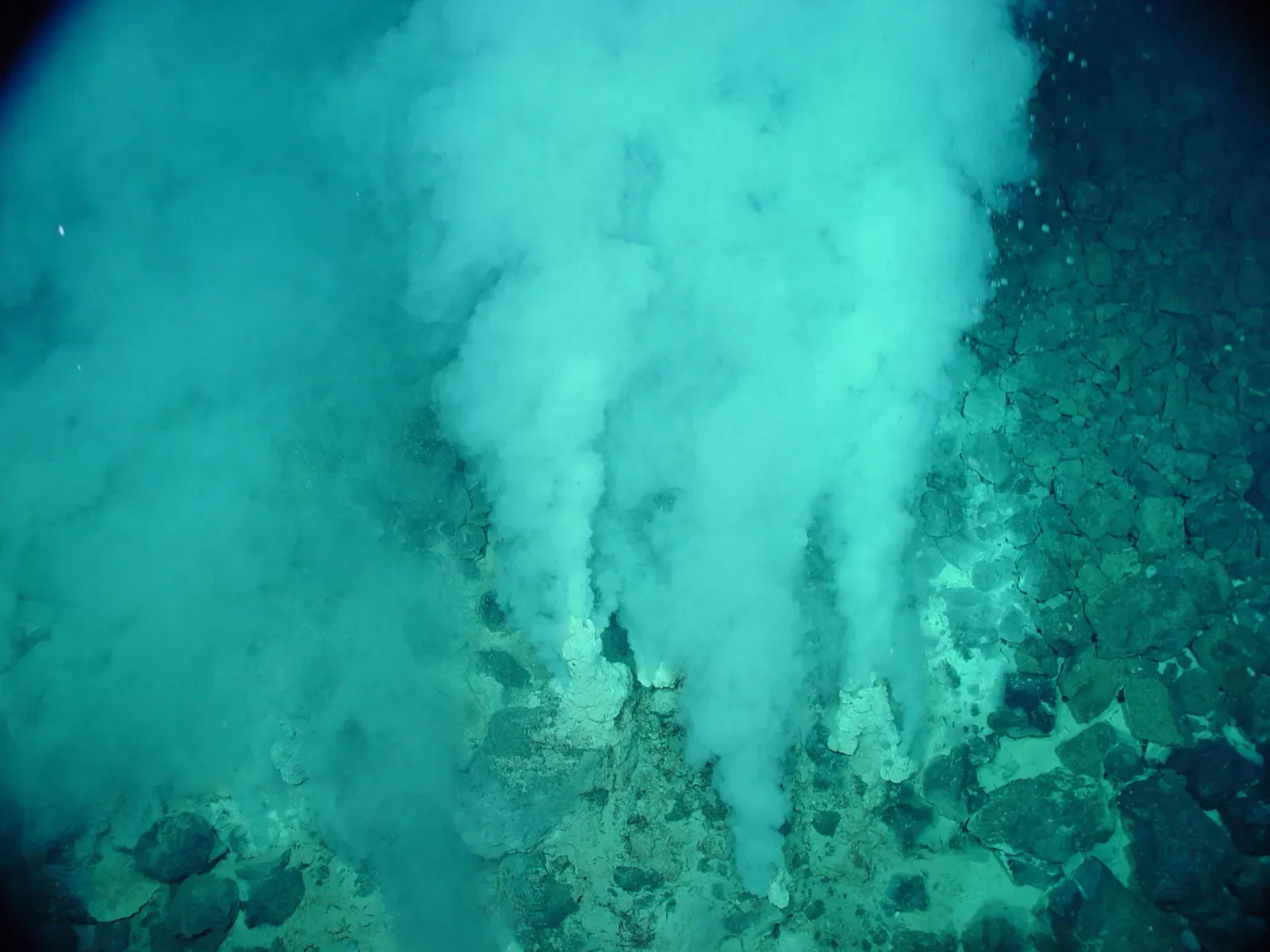 #9 - LUCA Might Not Have Been Fully "Alive" at All (By NOAA, Public domain)