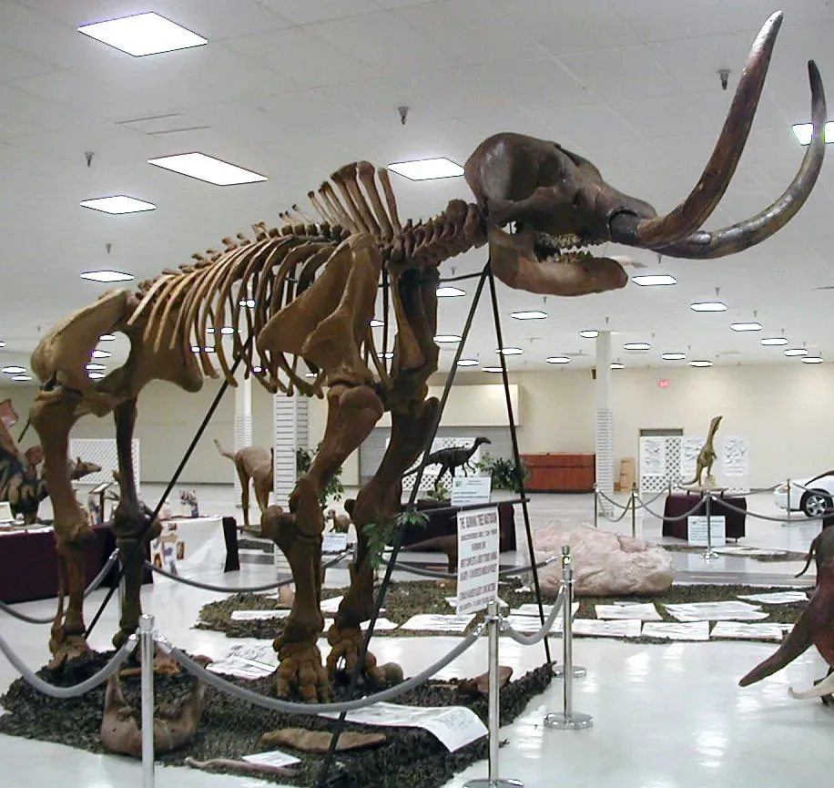 They Were Far More Diverse Than You'd Expect (Image Credits: Flickr)