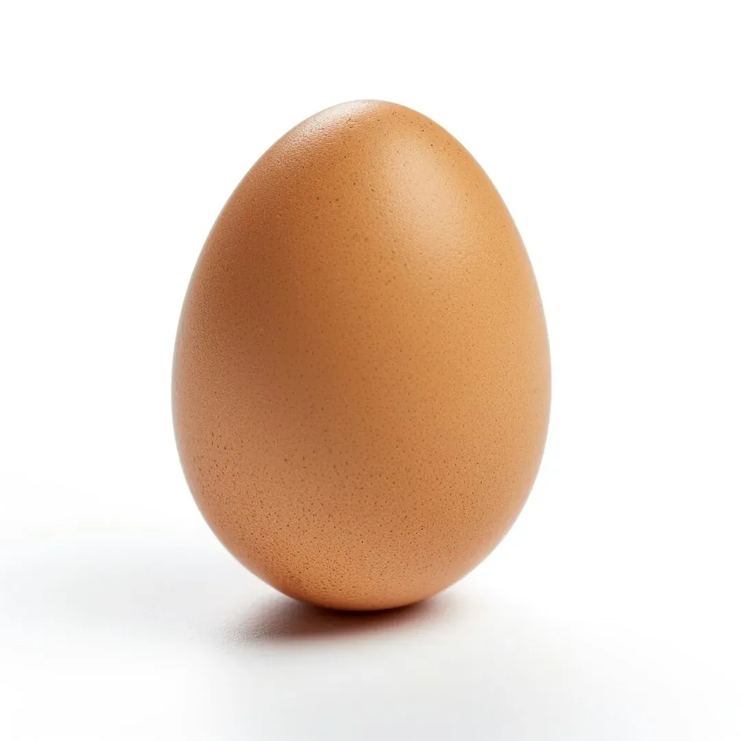 #1: Egg Shape Is Not Just About Rolling in a Circle (Image Credits: Unsplash)