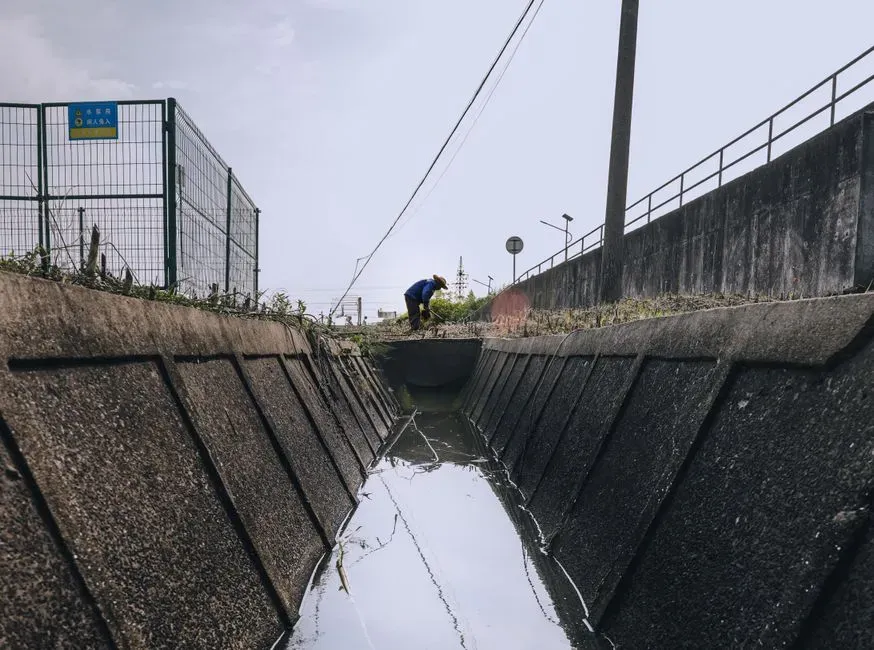 #11 A Ditch Records the Past and Future of the Landscape in One Place (Image Credits: Pexels)