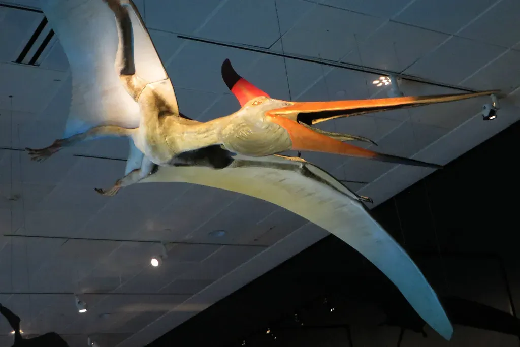 1. Pterosaurs Were the First Vertebrates to Conquer the Skies - And They Did It Early (edenpictures, Flickr, CC BY 2.0)