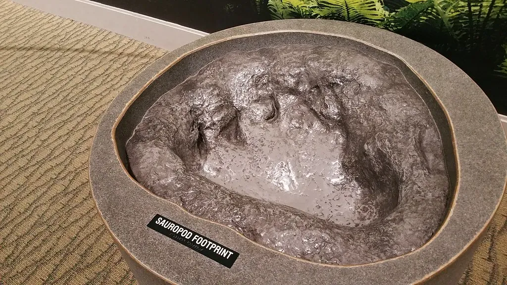 What the Footprints Actually Reveal About the Dinosaurs Who Made Them (Image Credits: Flickr)