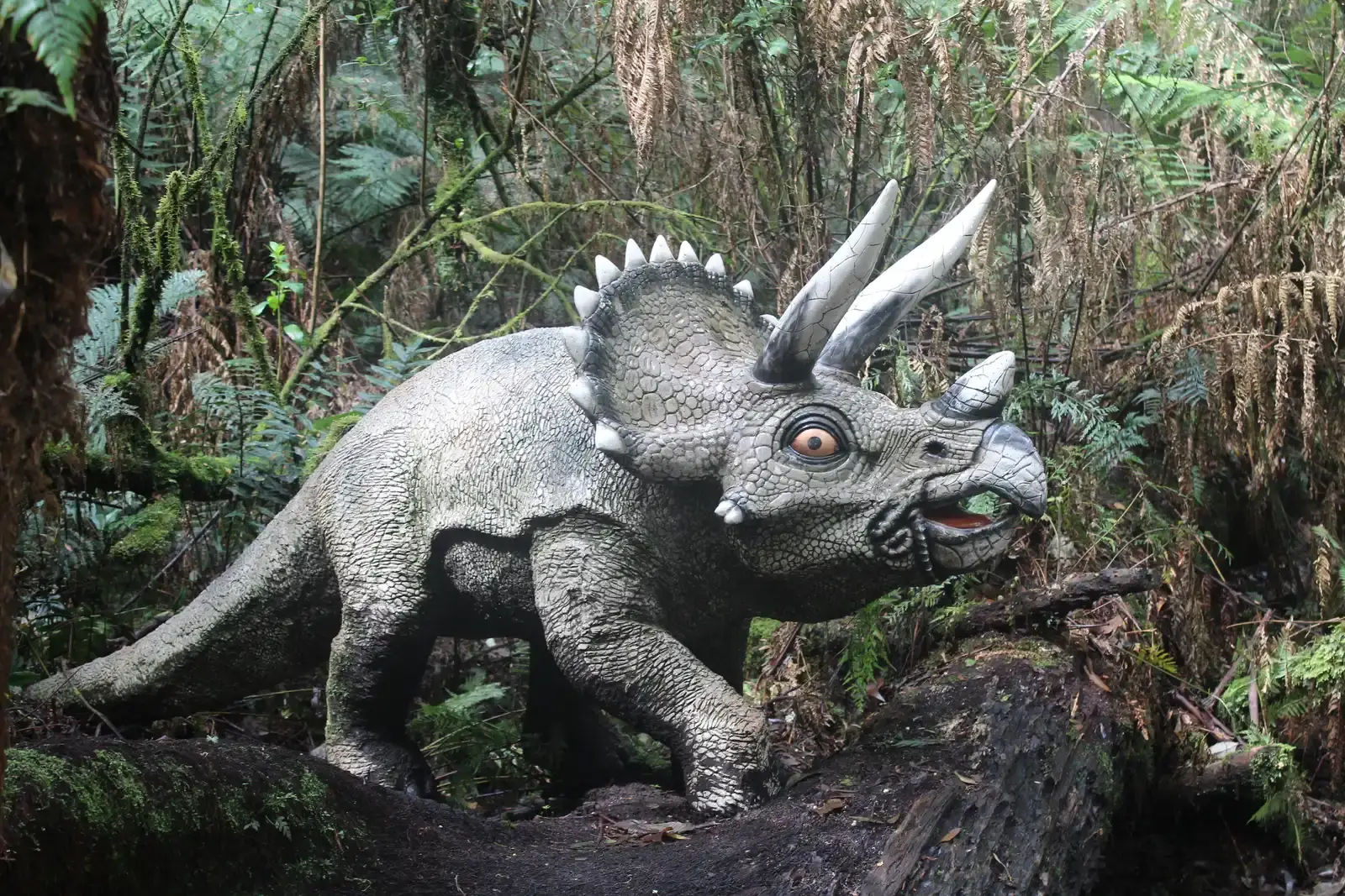 Herbivores With a Secret High‑Protein Predator Phase (By Martinvl, CC BY-SA 4.0)
