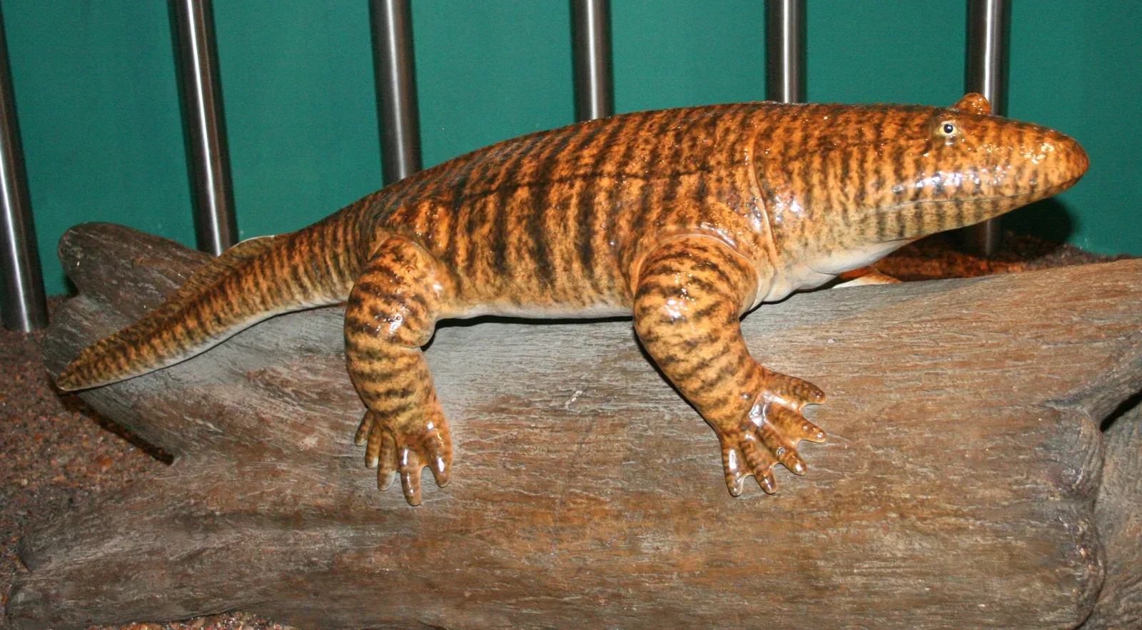 The First Vertebrates To Face Land, And Its Dangers (By Jon Houseman, CC BY-SA 3.0)