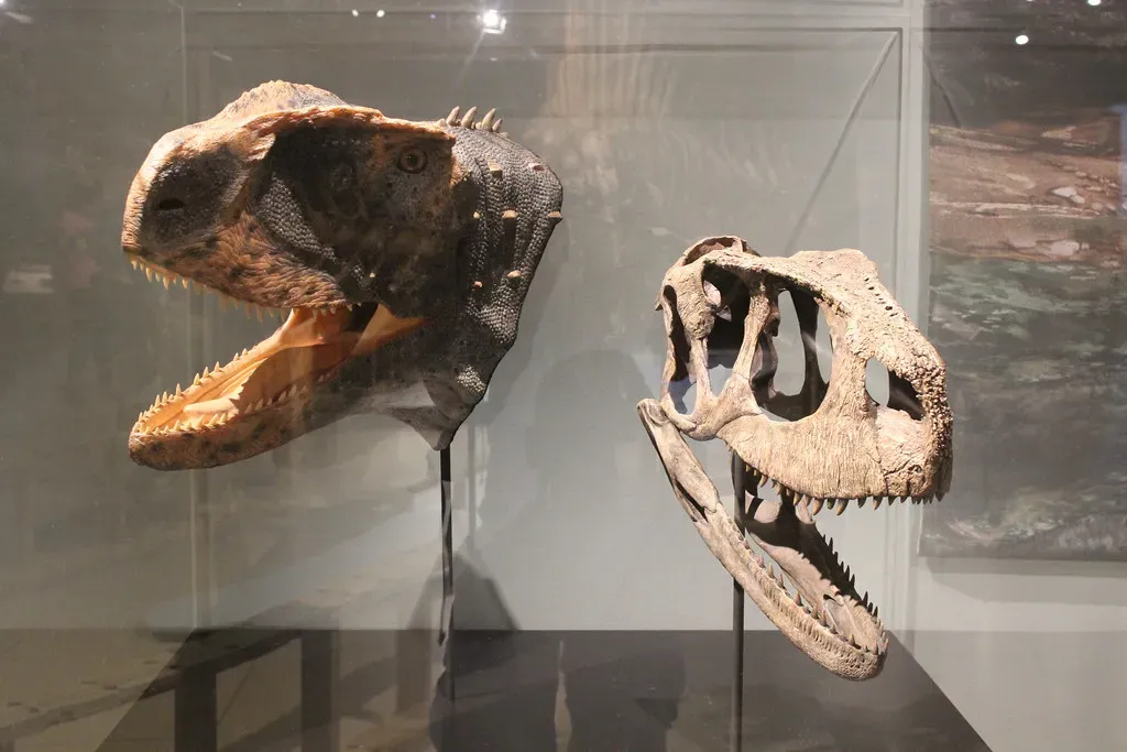 A Strange Predator with a Surprisingly Small Bite (Ryan Somma, Flickr, CC BY 2.0)