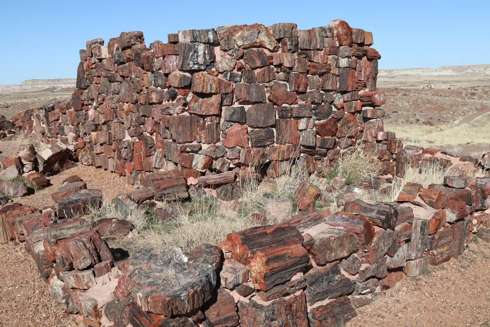 Structures Made of Stone Trees: Agate House and Beyond (By daveynin, CC BY 2.0)