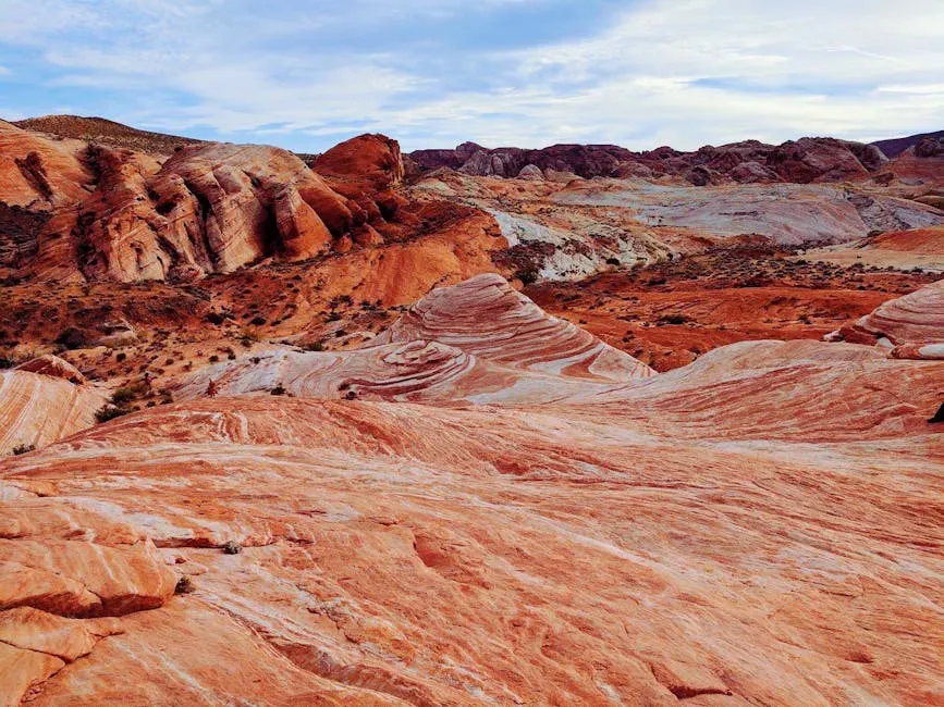 8. Reading Your Own Backyard: How to See Hidden Prehistoric Landscapes (Image Credits: Pexels)