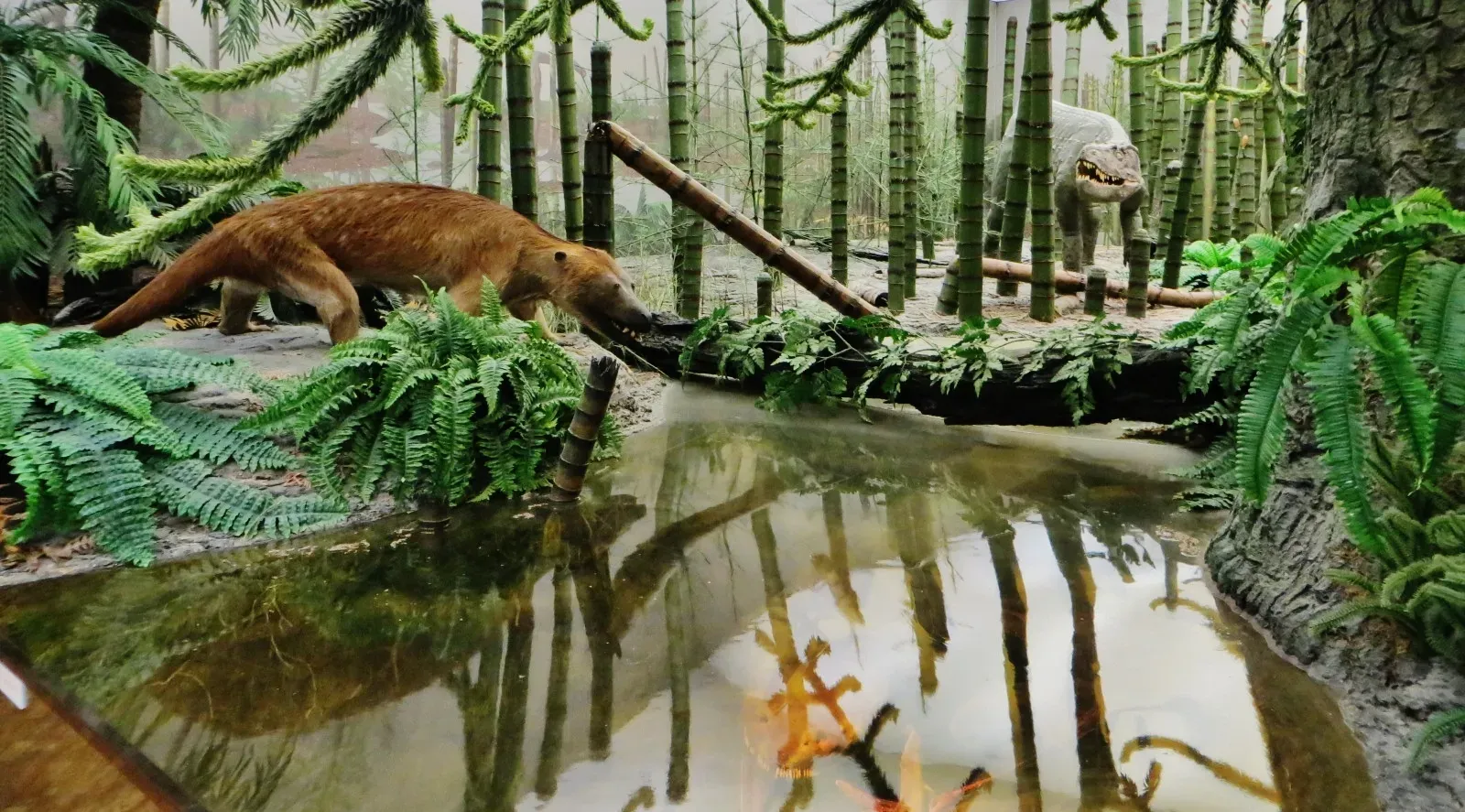 Living Among Giants (That Weren't Dinosaurs) (Image Credits: Wikimedia)