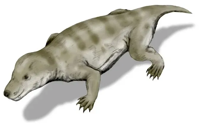 Thrinaxodon: The Burrowing Ancestor You Never Knew You Had (Image Credits: Wikimedia)