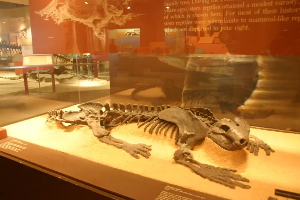 When the First Hunters Left Their Mark on History (Ryan Somma, Flickr, CC BY-SA 2.0)