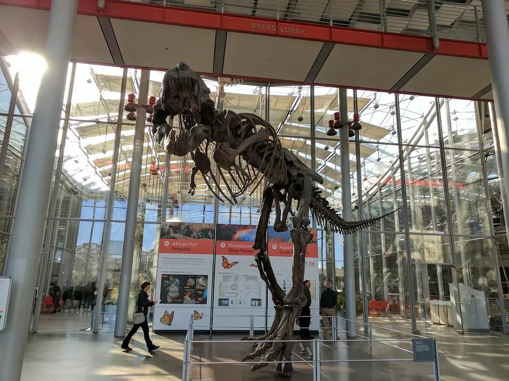 Conclusion: The Ground Beneath Our Feet Is Still Telling Its Story (PaintedByDawn, Flickr, CC BY 2.0)