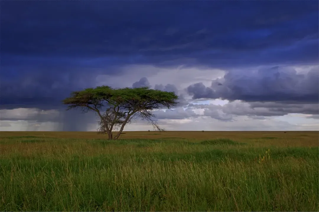 Monsoon Shifts and Pulsing African Wet–Dry Cycles (Image Credits: Unsplash)
