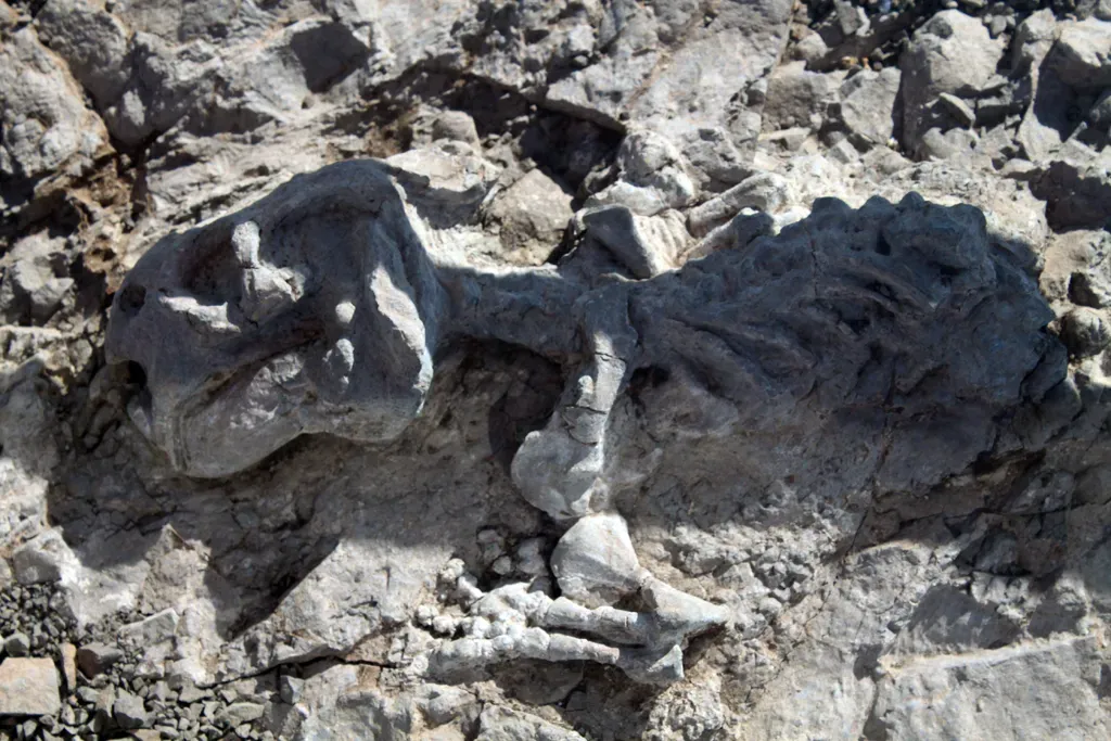 The Scale of the Catastrophe: Numbers That Defy Imagination (flowcomm, Flickr, CC BY 2.0)