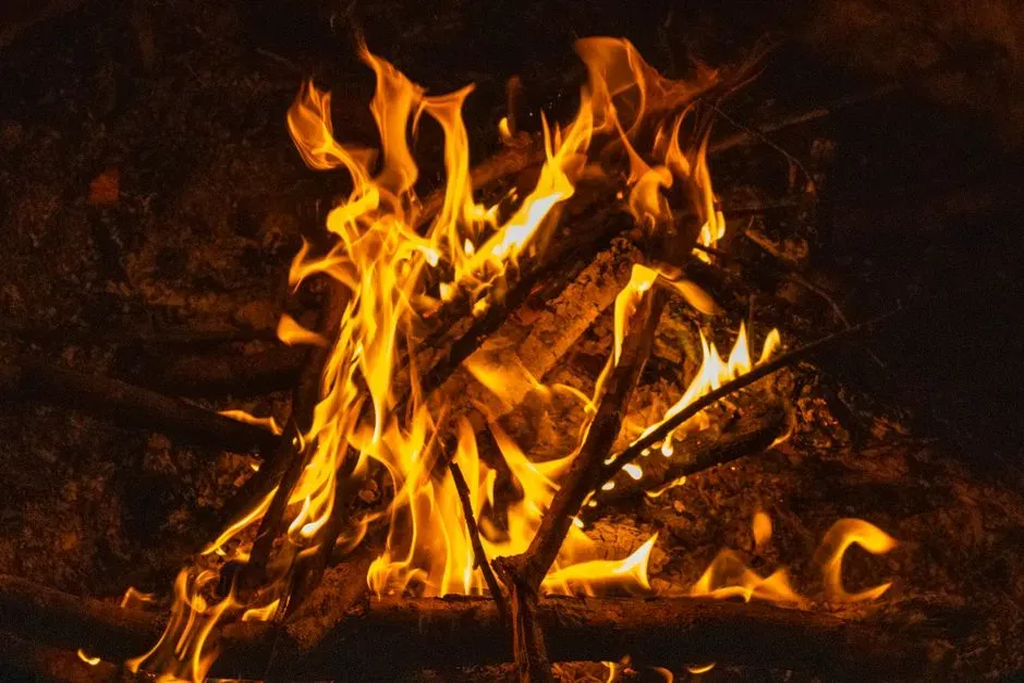 The Prehistoric Power Of Fire As Survival Tech (Image Credits: Pexels)