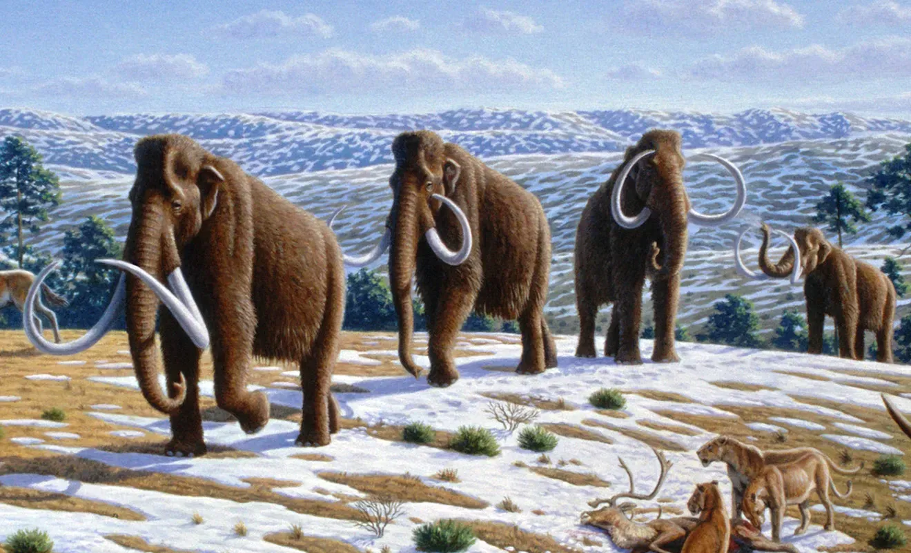 From Tiny Creatures to Giants: Mammalian Experiments in Size and Shape (By Mauricio Antón, CC BY 2.5)