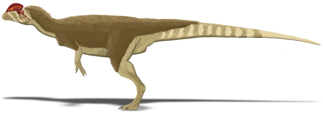 Leo: The Magnificent Dilophosaurus (Image Credits: Wikimedia)