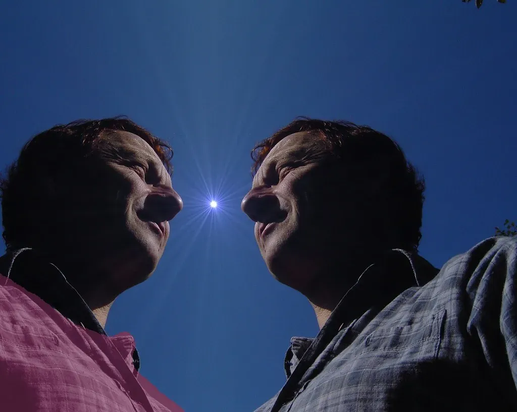 Gemini: The Brilliant Conversationalist With A Split Personality Problem (Image Credits: Flickr)