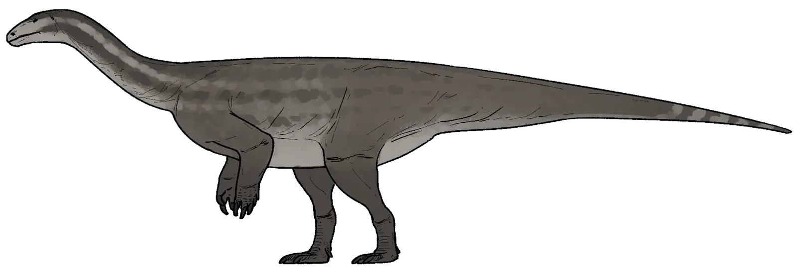 Musankwa Sanyatiensis: The Forgotten Giant of Zimbabwe (Image Credits: Wikimedia)