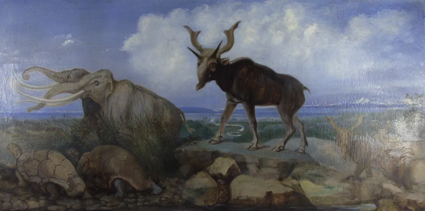 The Timeline Debate: How Long Did They Actually Share the Earth? (Image Credits: Wikimedia)