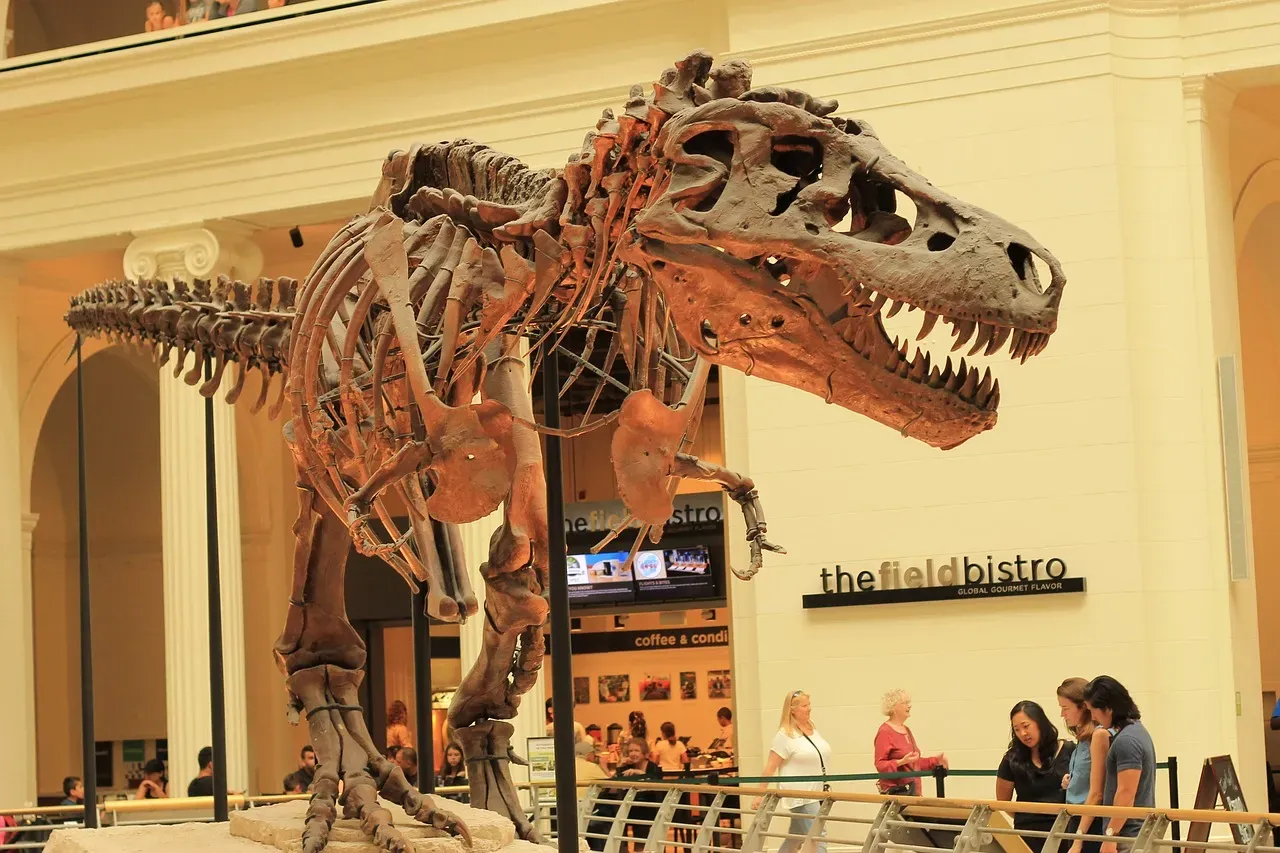 #1 - The Record Sale That Accidentally Started a Fossil Gold Rush (Image Credits: Pixabay)