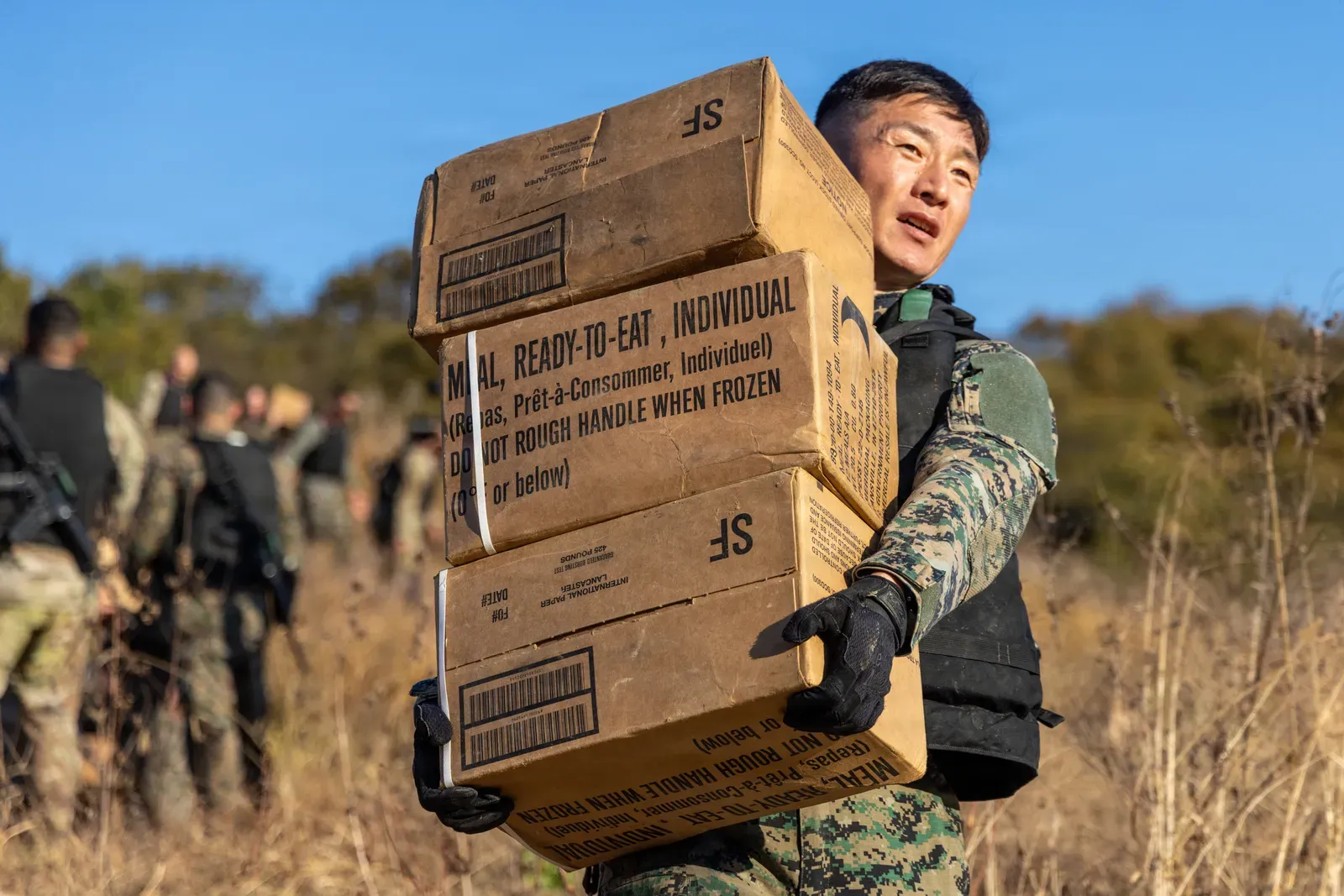 Why Some Zodiac Signs Are Wired Differently Under Pressure (Image Credits: Wikimedia)