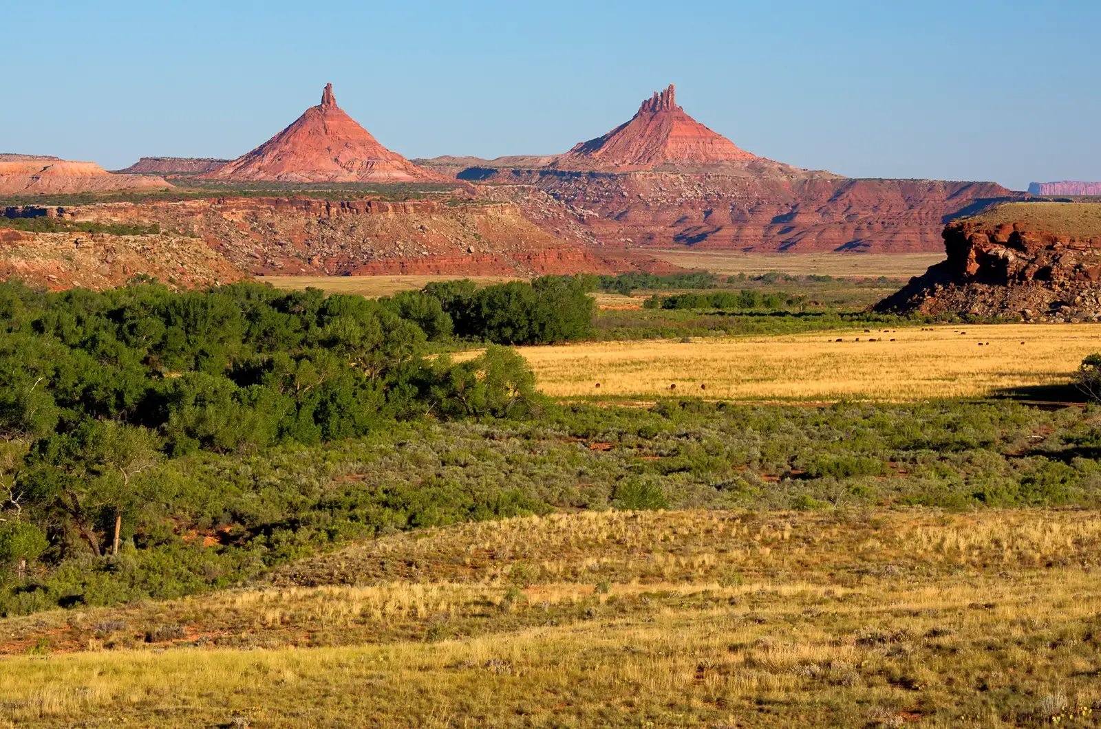 7. Bears Ears National Monument, Utah: A World-Class Trove That Science Is Still Unlocking (By US Bureau of Land Management, Public domain)